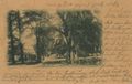 Ahlbeck, Mecklenburg-Vorpommern/F�rsterei am Wolgastsee