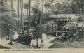 Bestensee, Brandenburg/Gallunsbr�ck