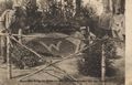 Pionerskij, Ostpreu�en/Gartenbauk�nstler