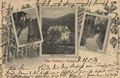Eisenach (Th�r.), Th�ringen/Veranda; Haus Eichberg; Rosengang