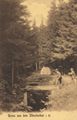 M�nchsthal, Niedersachsen/Wald