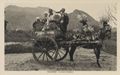 Sizilianischer Pferdewagen bei Palermo