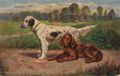 2 Jagdhunde