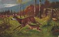 Reh und Kitz laufend