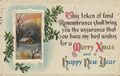 'This token of fond Remembrance...'