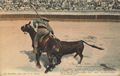 Stierkampf/N�mes/La Corrida de Toros (3)
