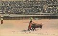 Stierkampf/N�mes/La Corrida de Toros (7)