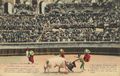 Stierkampf/N�mes/La Corrida de Toros (9)