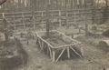 Gr�ber im Wald