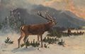 Hirsche im Schnee