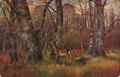 Rehe im Wald
