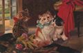 Katzenbabies mit Schleifen