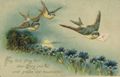 'Flieg fort, flieg fort �ber Berg und Tal...'