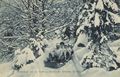 Bobsleigh bei Schlerke im Harz