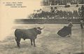 Corrida de Toros: Pasando de muleta
