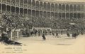 Corrida de Toros: Suerta de vara