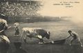 Corrida de Toros: Un qoite
