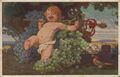 Pf�lzer Wein