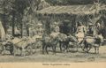 V�lkerschau Indien, Wagenlenker