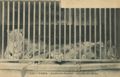 Paris, Jardin des Plantes (L�wenk�rig)