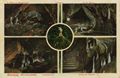 R�beland, Hermannsh�hle (2. Abteilung)