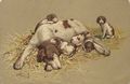 H�ndin mit Welpen