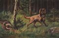 Hund mit 2 Fasanen