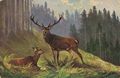 Hirsch und Reh im Gebirgswald