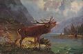 R�hrender Hirsch im Gebirge
