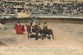 Stierkampf/N�mes/La Corrida de Toros (4)