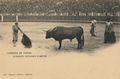 Corrida de Toros: Algabe�o entrado � matar