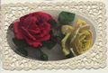 Gelbe und rote Rose