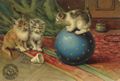 3 Katzen mit Ball