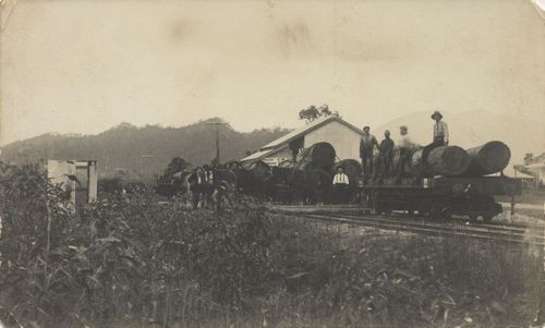Arbeiter auf G�terwagen mit Holzst�mmen