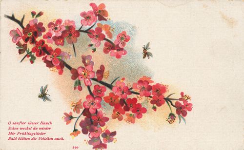 'O sanfter s�sser Hauch...'