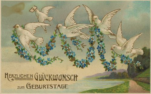 Tauben [2]