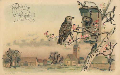 Vogelhaus auf dem Dorfe