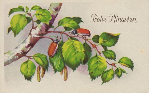 Auf Bl�ttern