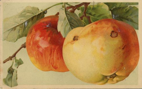 �pfel