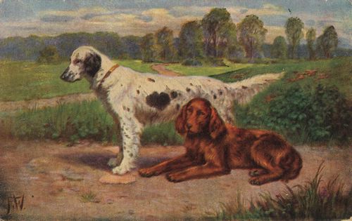 2 Jagdhunde