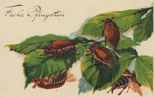 Auf Bl�ttern [2]