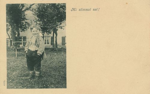 'Mi stimmst net!'