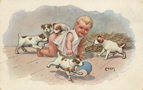 Hunde �rgern Baby