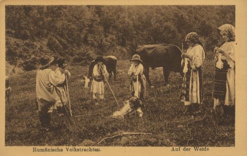 'Auf der Weide'