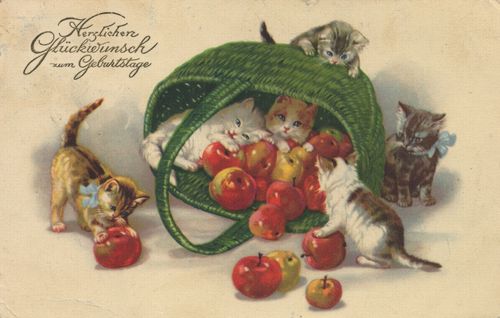 Katzenbabies mit �pfeln