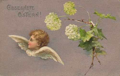 Kopf