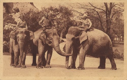 V�lkerschau Indien, Elefanten mit Reitern