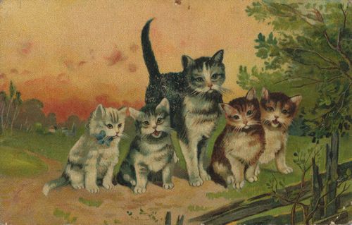 Katzenmutter mit 4 Babies