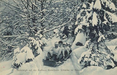 Bobsleigh bei Schlerke im Harz