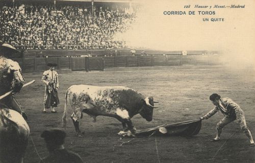 Corrida de Toros: Un qoite